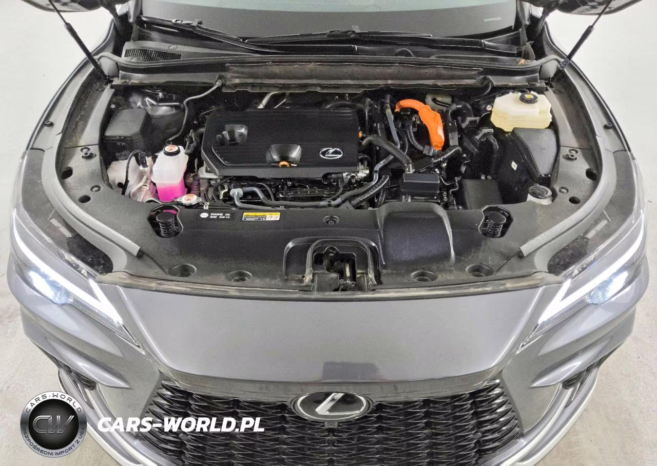 2025 Lexus Rx 350H F Sport Design VIN:2T2BBMCA2SC101513 - 12