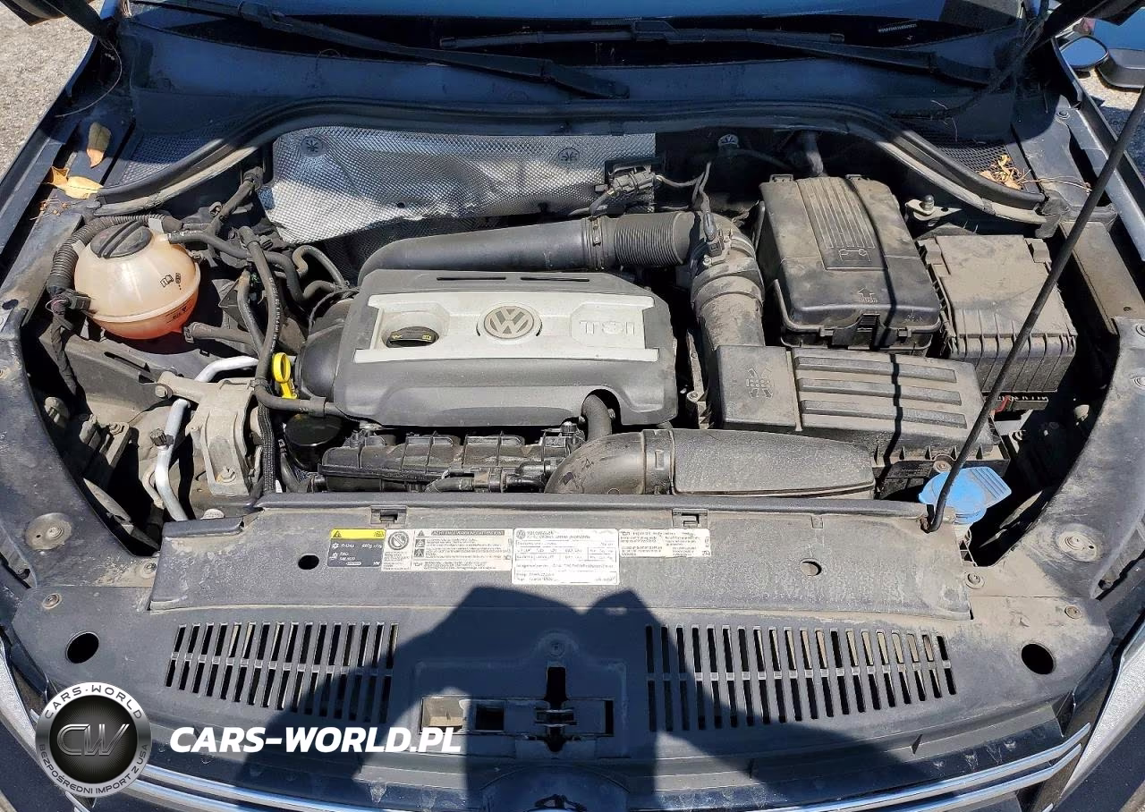2014 Volkswagen Tiguan S VIN:WVGAV3AX1EW509839 - 12