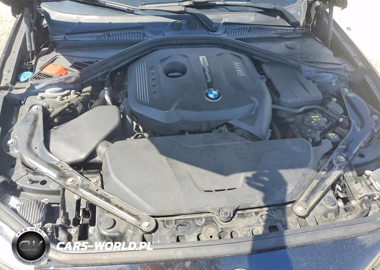 2018 BMW 230I VIN:WBA2M7C59JVD51782 - 11