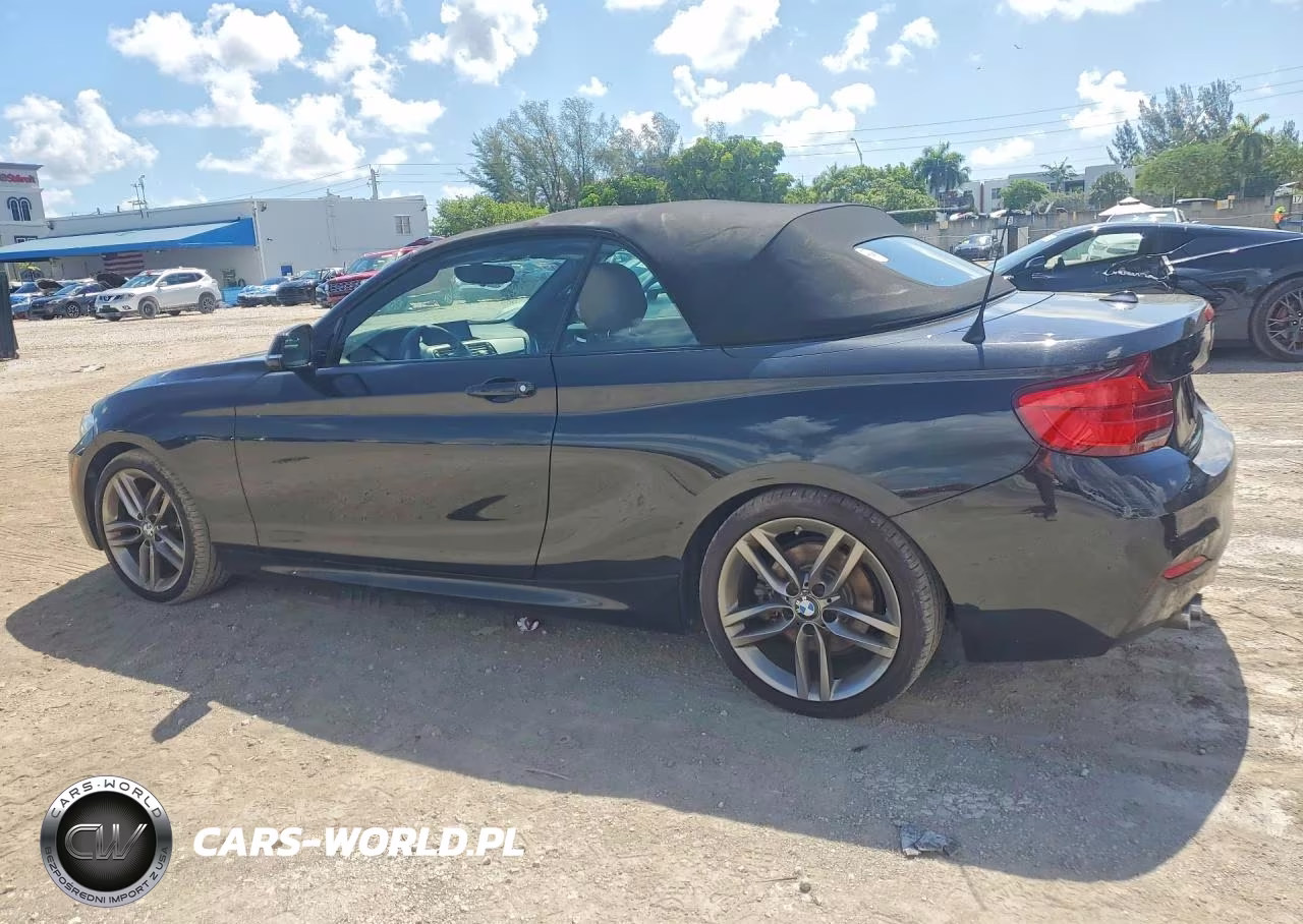 2018 BMW 230I VIN:WBA2M7C59JVD51782 - 2