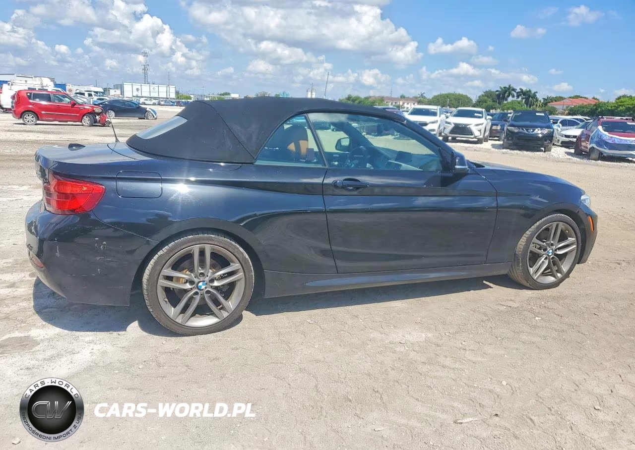2018 BMW 230I VIN:WBA2M7C59JVD51782 - 3