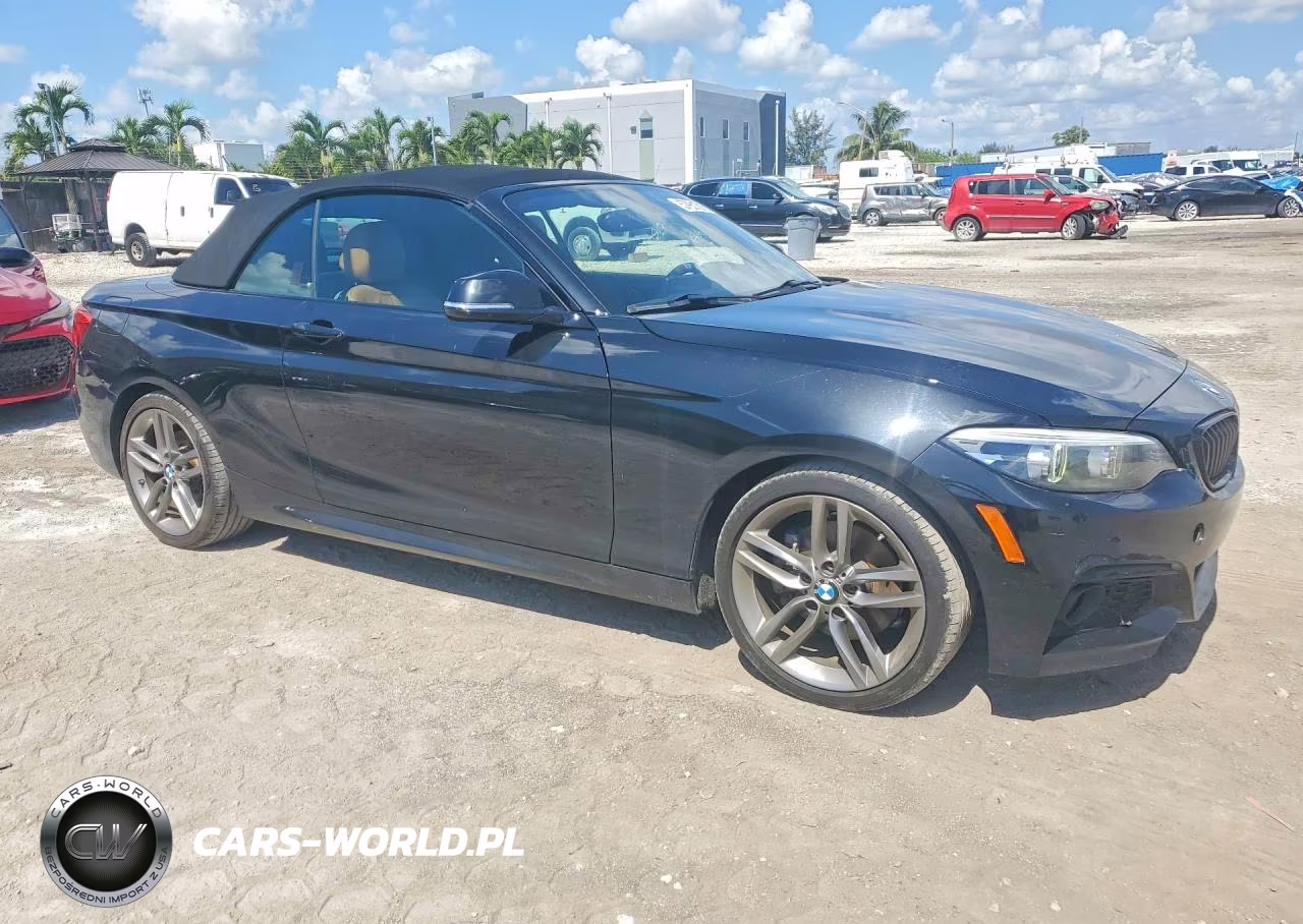 2018 BMW 230I VIN:WBA2M7C59JVD51782 - 4