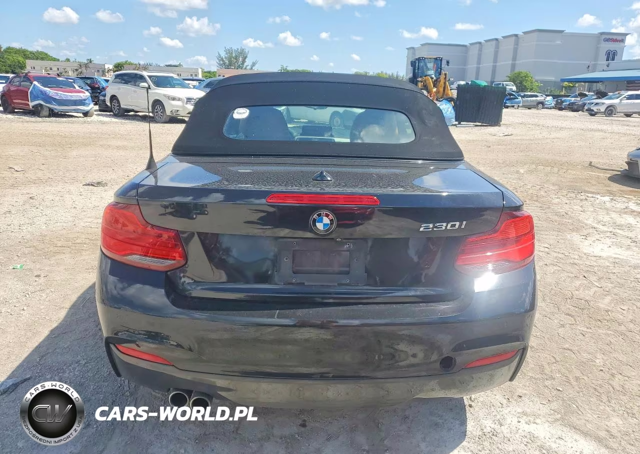 2018 BMW 230I VIN:WBA2M7C59JVD51782 - 6