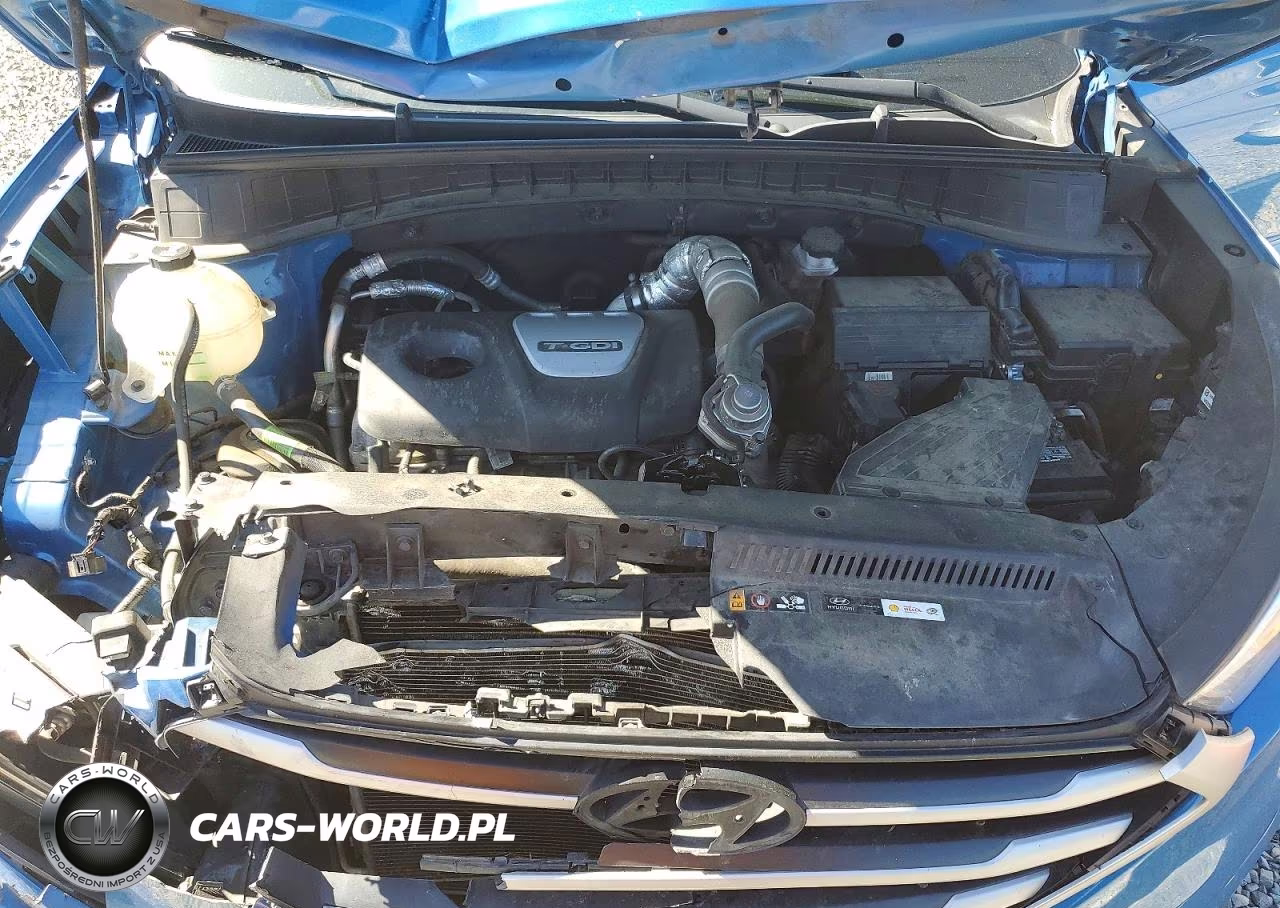 2018 Hyundai Tucson Value VIN:KM8J3CA2XJU778289 - 12