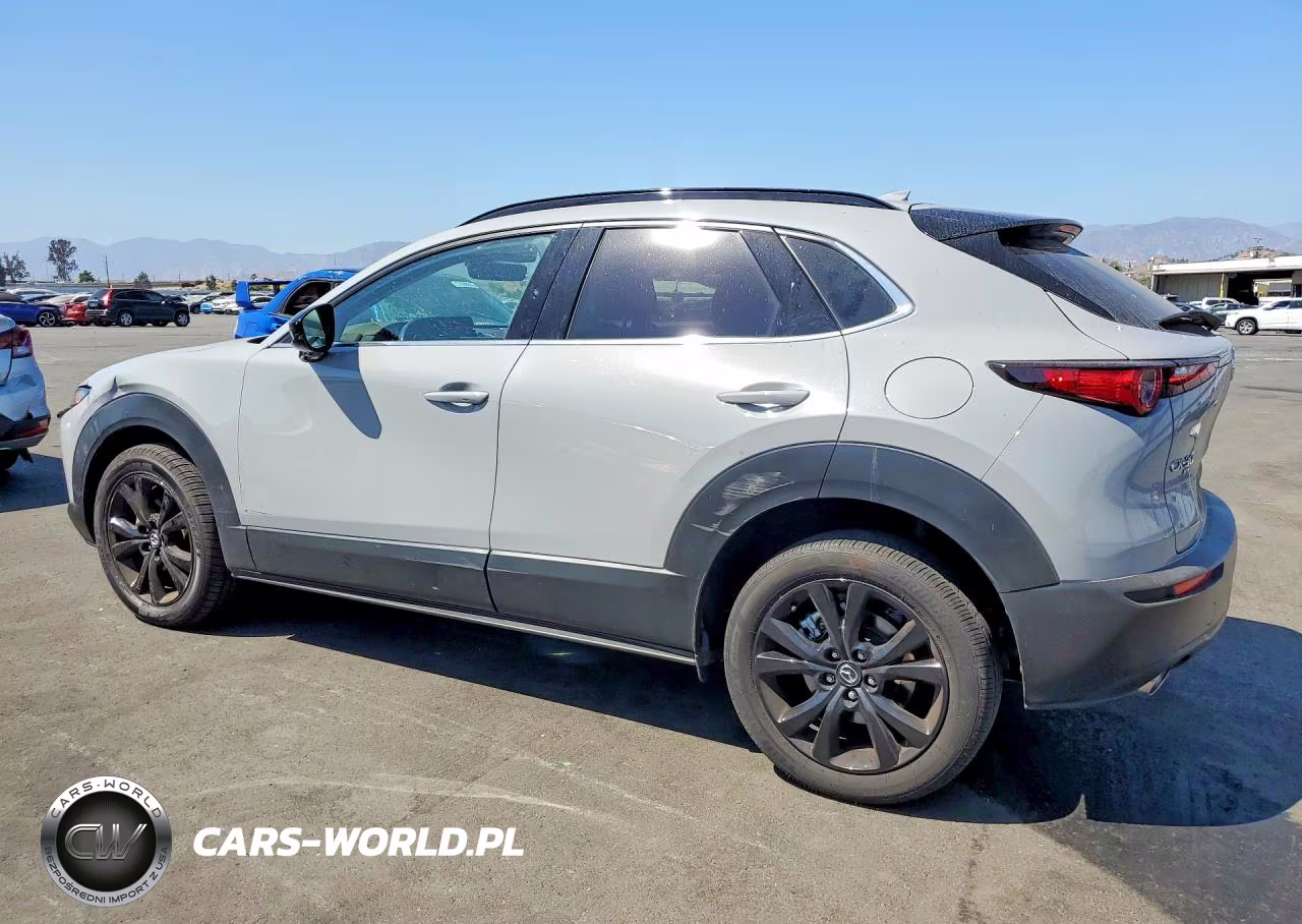 2025 Mazda Cx-30 Premium VIN:3MVDMBDY8SM813909 - 2