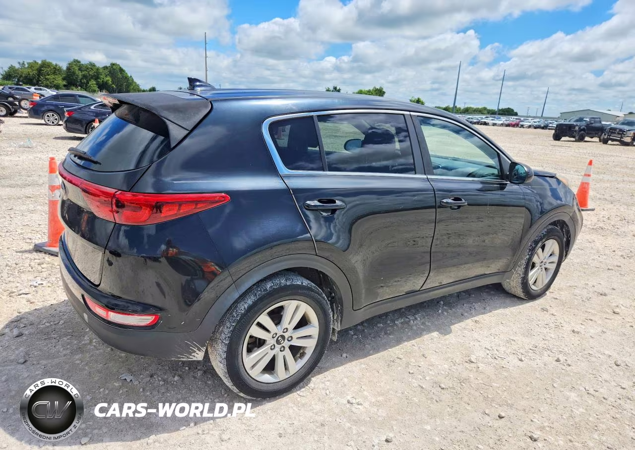 2019 Kia Sportage Lx VIN:KNDPM3AC7K7537892 - 3