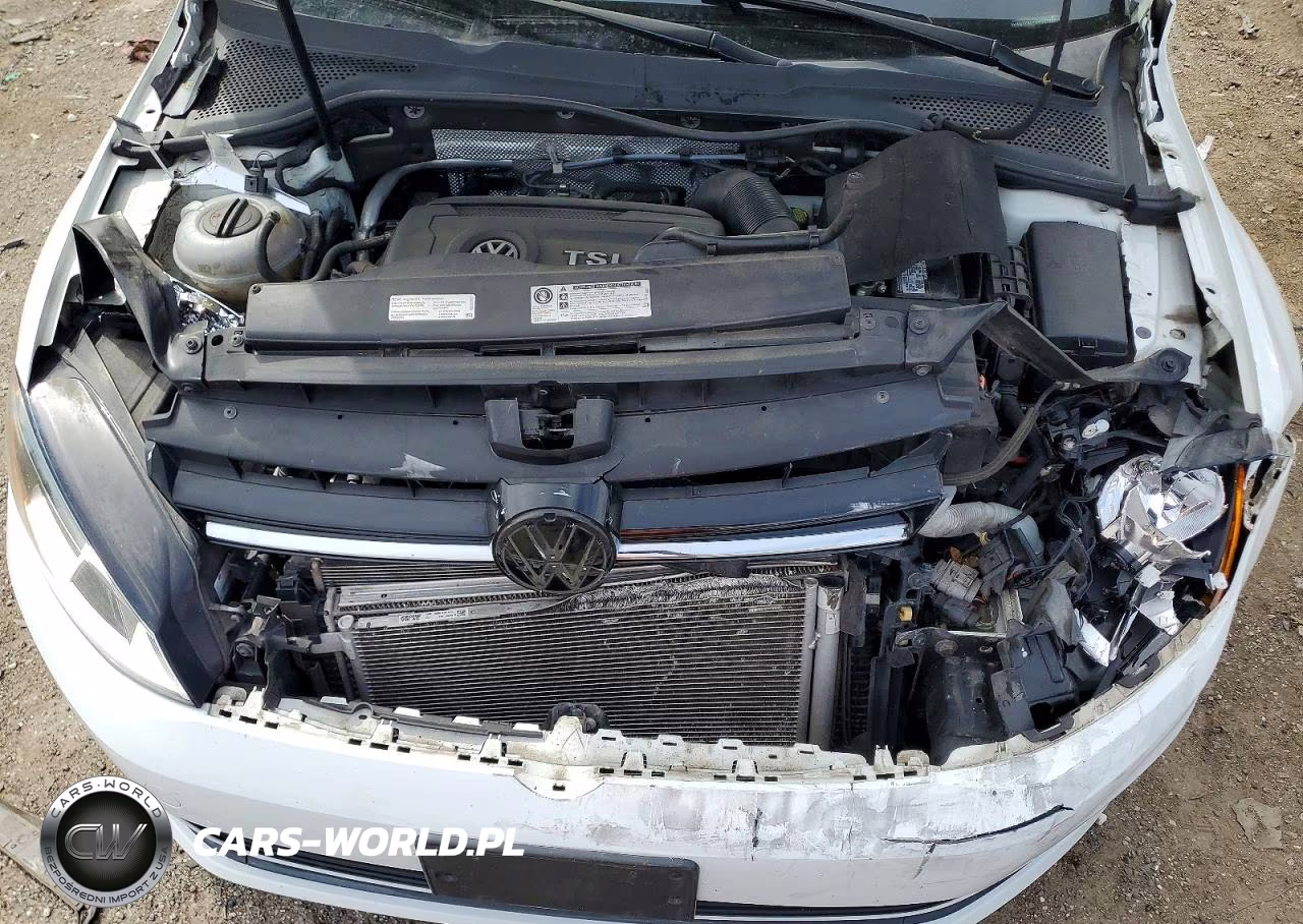 2016 Volkswagen Golf S-Se VIN:3VW217AU1GM037224 - 11