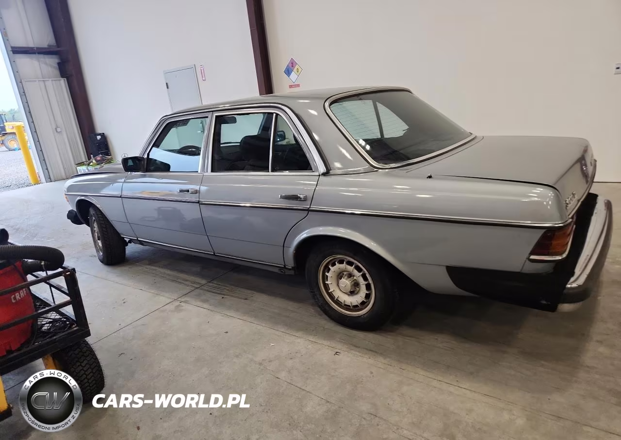 1984 Mercedes-Benz 300 Dt VIN:WDBAB33A9EA091015 - 2