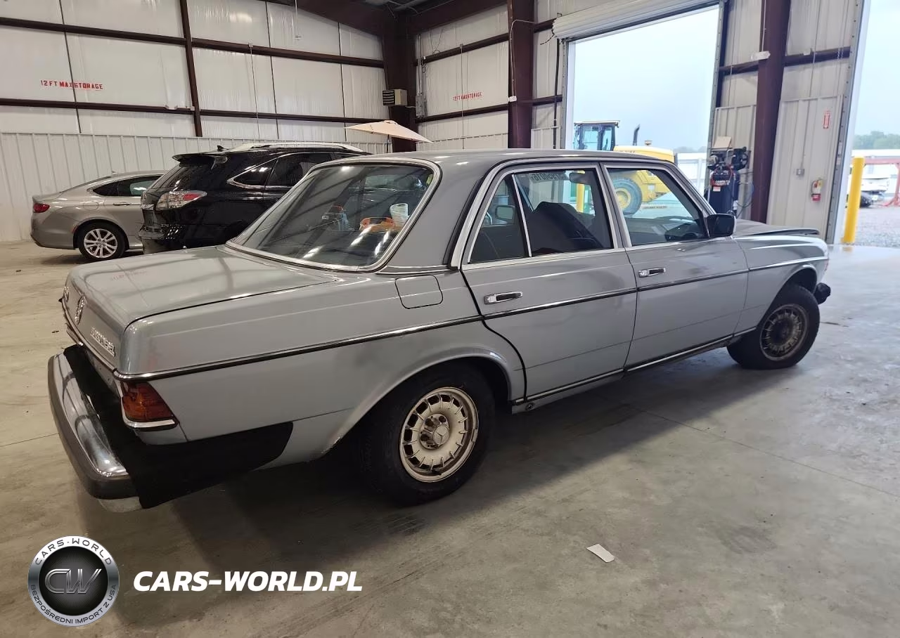 1984 Mercedes-Benz 300 Dt VIN:WDBAB33A9EA091015 - 3