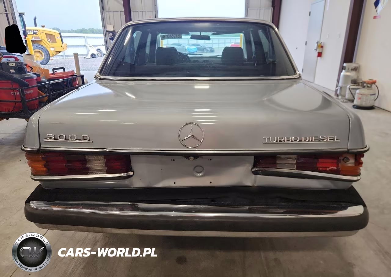1984 Mercedes-Benz 300 Dt VIN:WDBAB33A9EA091015 - 6