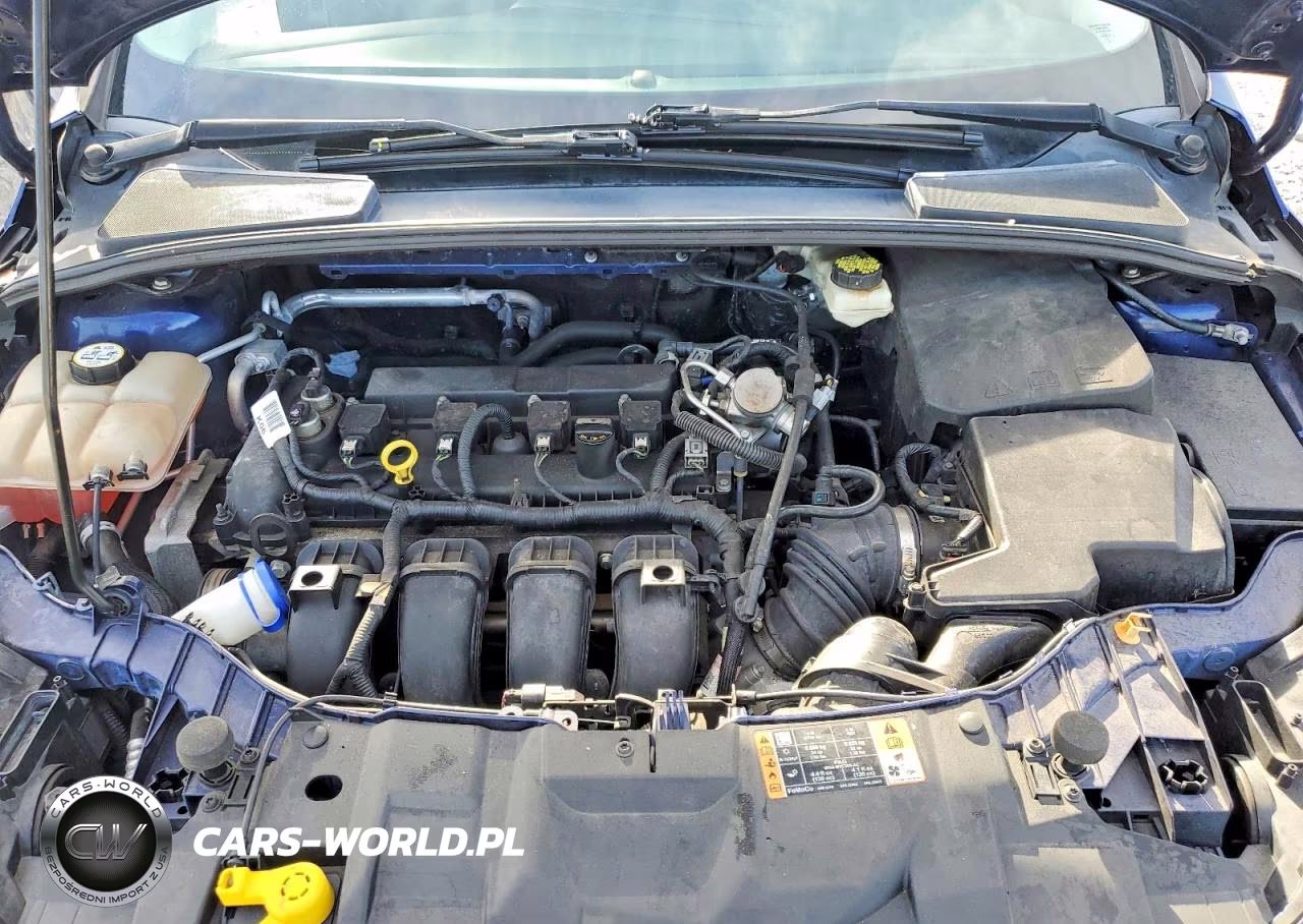 2017 Ford Focus Sel VIN:1FADP3M21HL302150 - 11