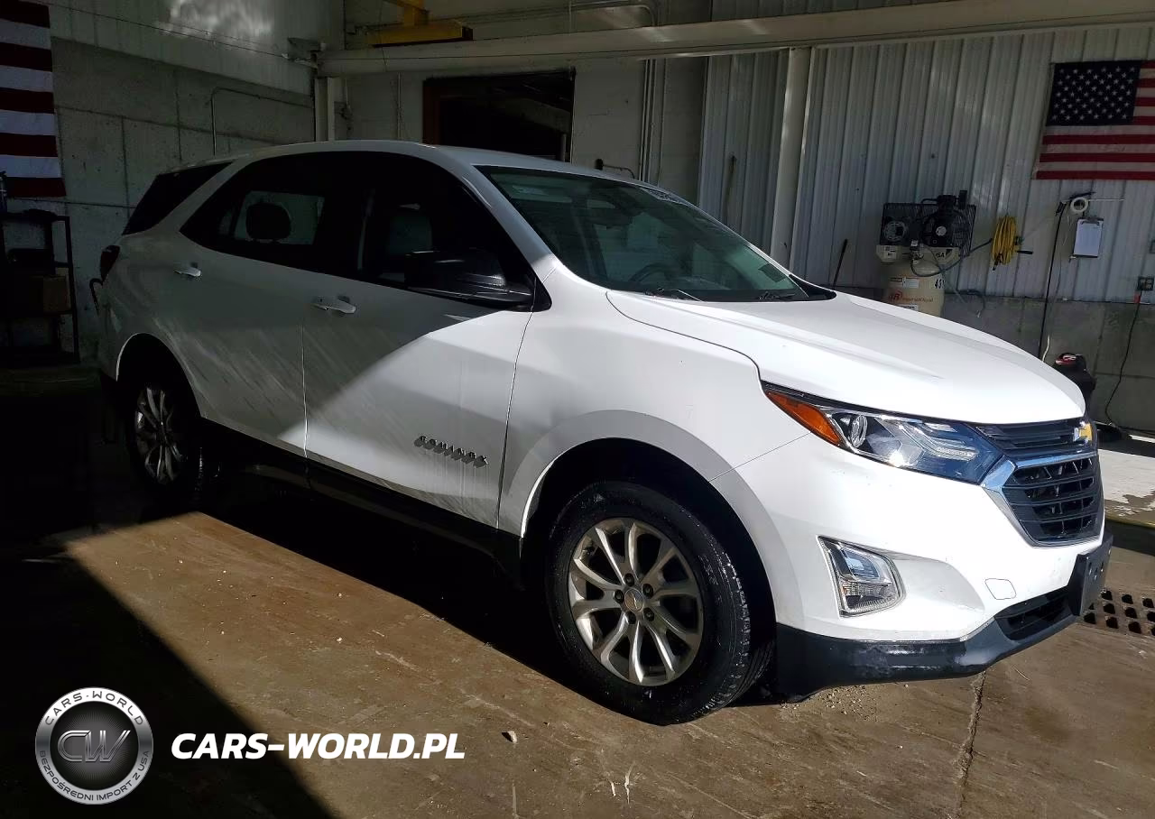 2020 Chevrolet Equinox Ls VIN:2GNAXSEV6L6123594 - 4