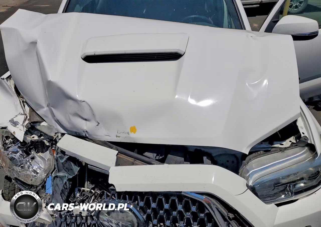 2019 Toyota Tacoma Trd Sport VIN:3TMDZ5BN2KM073383 - 11