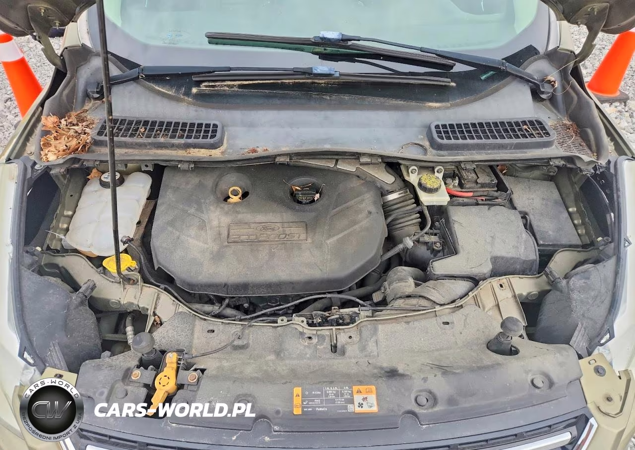 2013 Ford Escape Sel VIN:1FMCU9H97DUA59629 - 12
