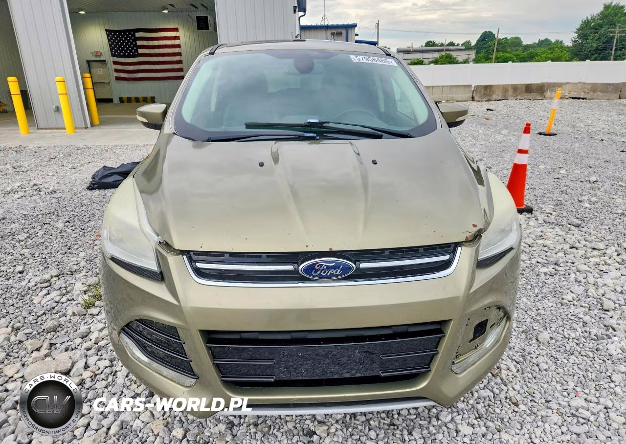 2013 Ford Escape Sel VIN:1FMCU9H97DUA59629 - 5