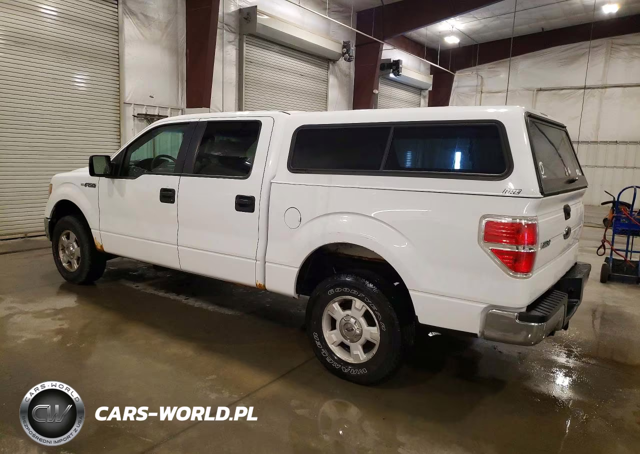 2010 Ford F150 Supercrew VIN:1FTFW1EV5AKC00798 - 2