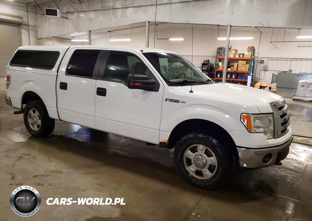 2010 Ford F150 Supercrew VIN:1FTFW1EV5AKC00798 - 4