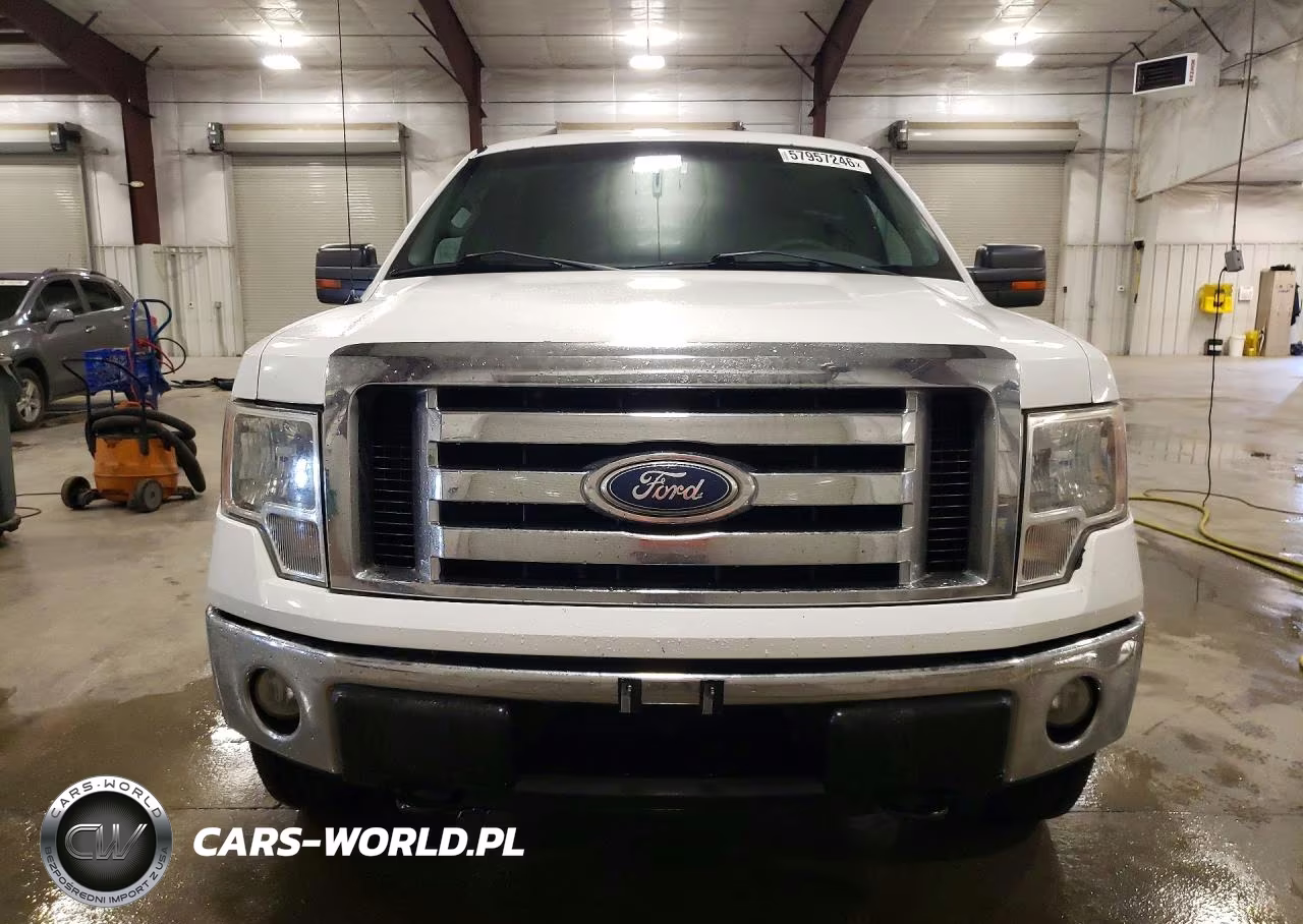 2010 Ford F150 Supercrew VIN:1FTFW1EV5AKC00798 - 5