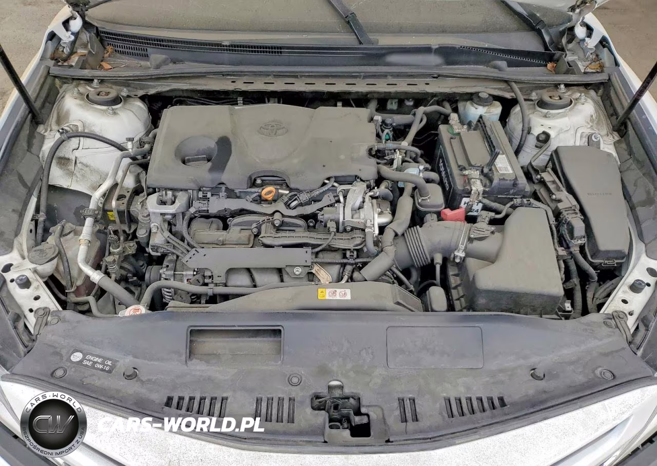 2019 Toyota Camry Se VIN:4T1B11HK1KU822492 - 11
