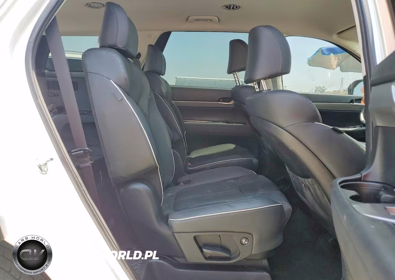 2024 Hyundai Palisade VIN:KM8R24GE9RU770886 - 11