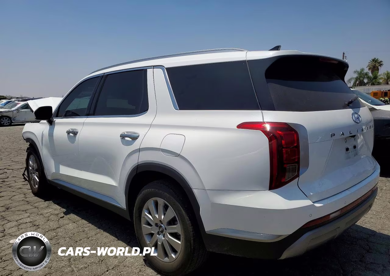 2024 Hyundai Palisade VIN:KM8R24GE9RU770886 - 2