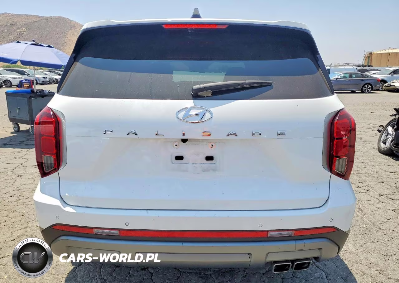 2024 Hyundai Palisade VIN:KM8R24GE9RU770886 - 6