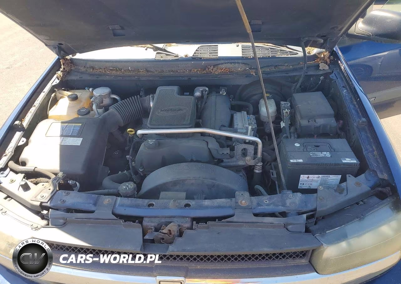 2004 Chevrolet Trailblazer Ls VIN:1GNDT13S742136221 - 11