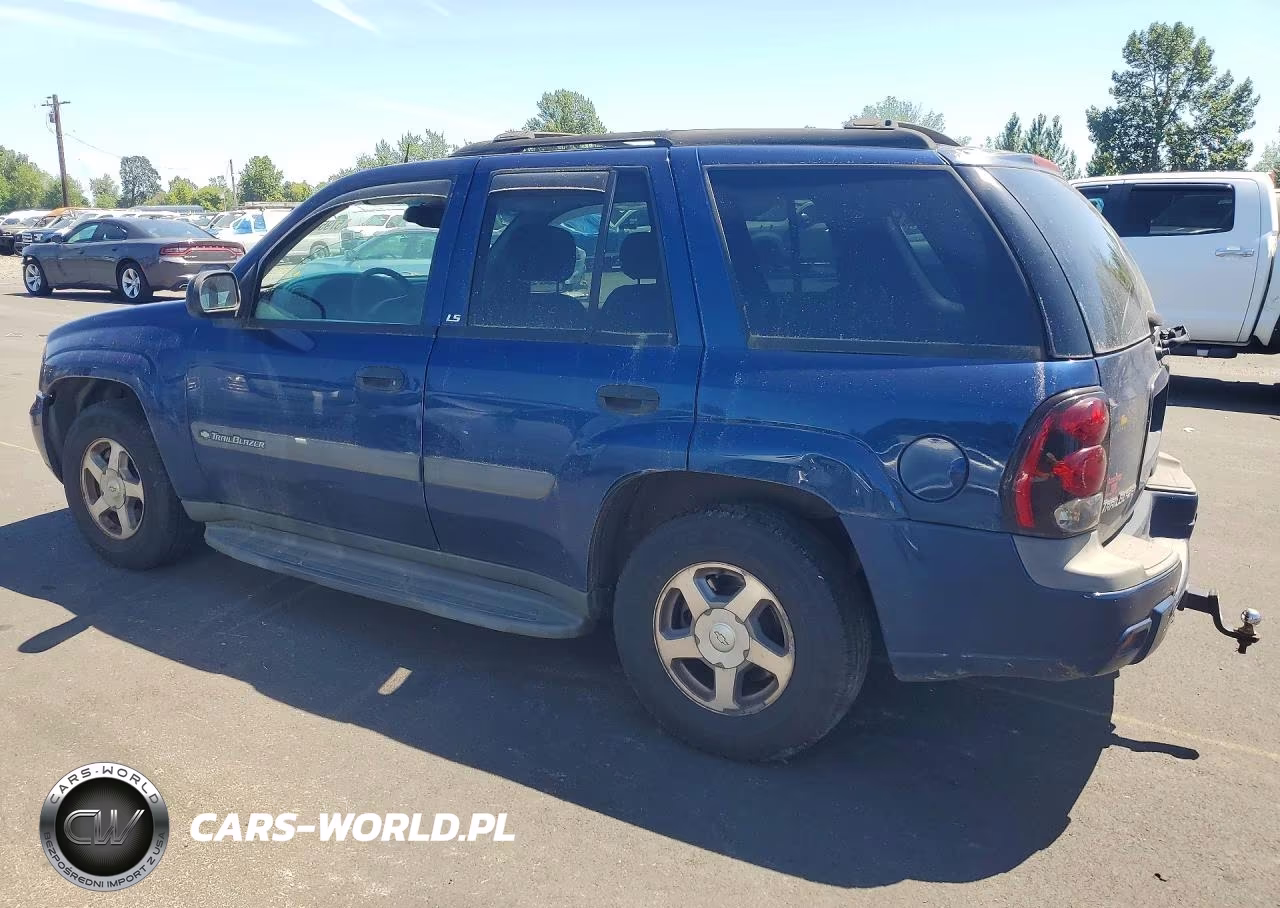 2004 Chevrolet Trailblazer Ls VIN:1GNDT13S742136221 - 2
