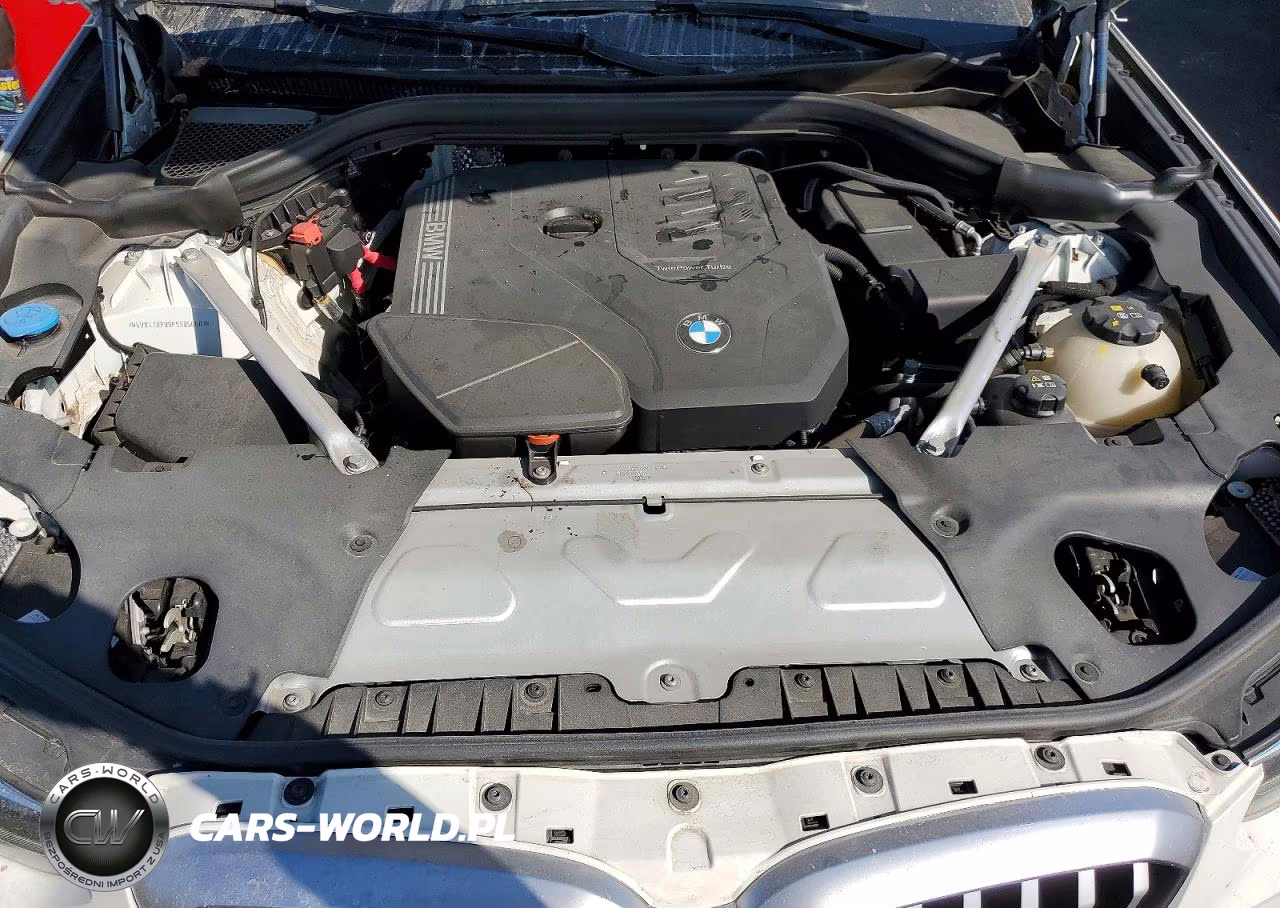 2023 BMW X3 Sdrive30I VIN:5UX43DP08P9S05060 - 12