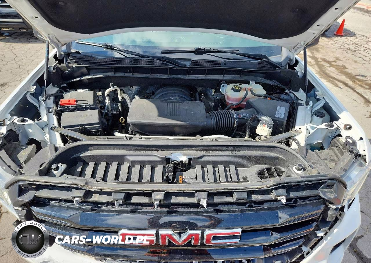 2019 GMC Sierra K1500 Elevation VIN:1GTR9CED1KZ417572 - 11