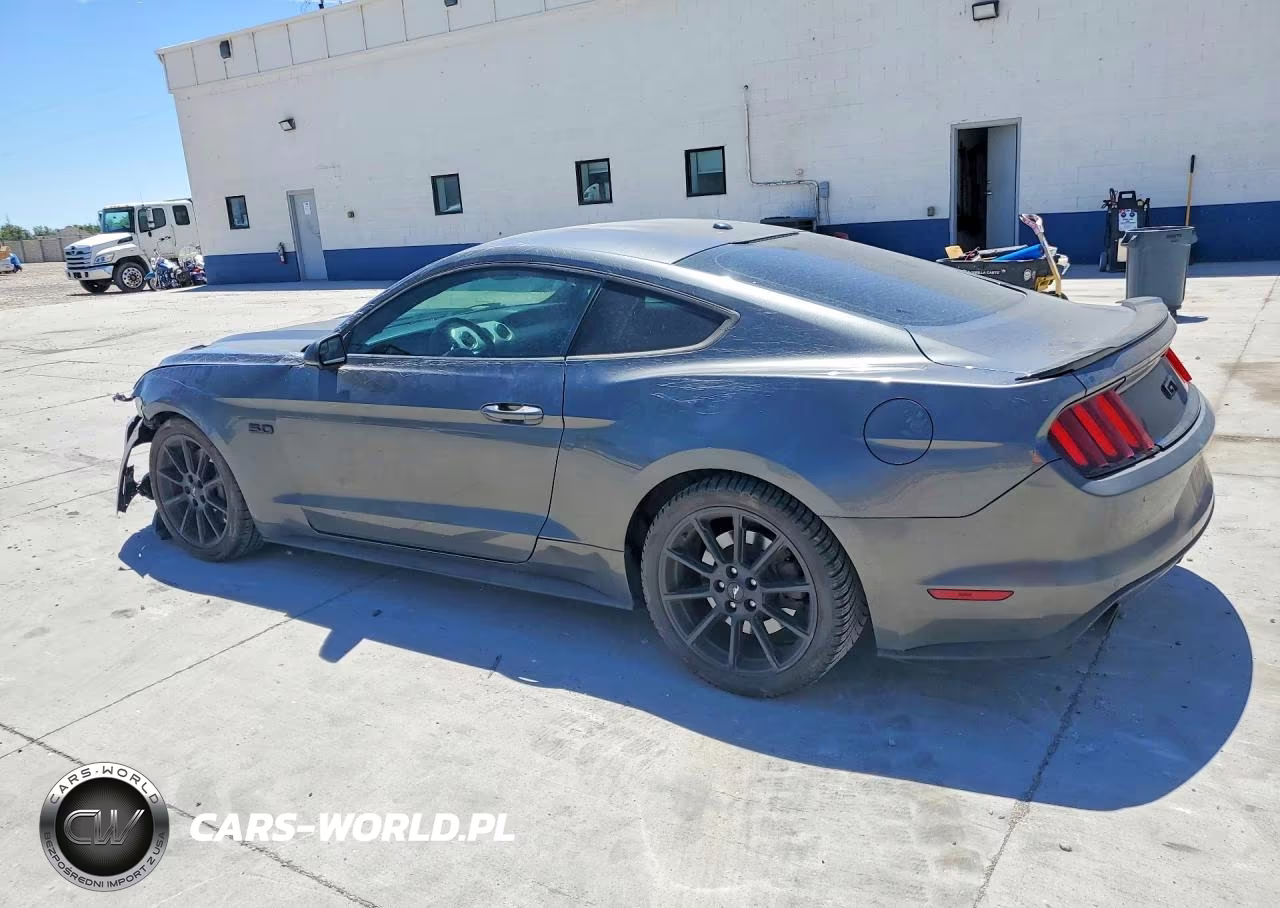 2016 Ford Mustang Gt VIN:1FA6P8CF3G5290256 - 2