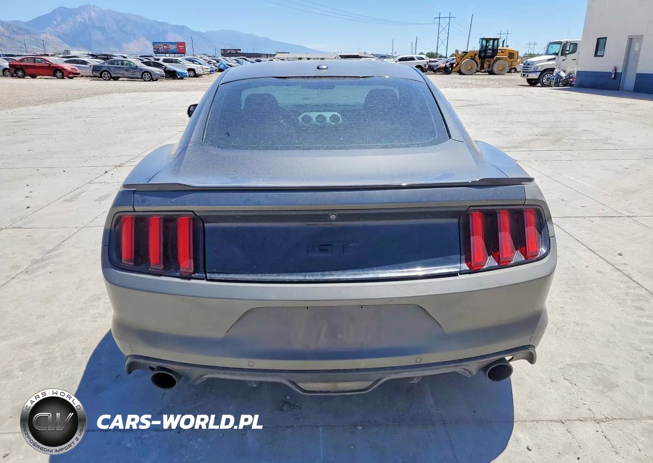 2016 Ford Mustang Gt VIN:1FA6P8CF3G5290256 - 6
