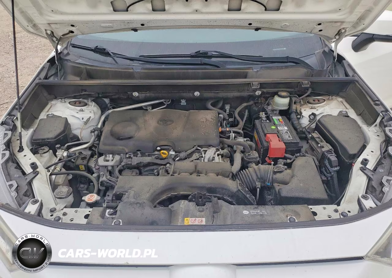 2019 Toyota Rav4 Xle VIN:JTMW1RFV8KD023519 - 12