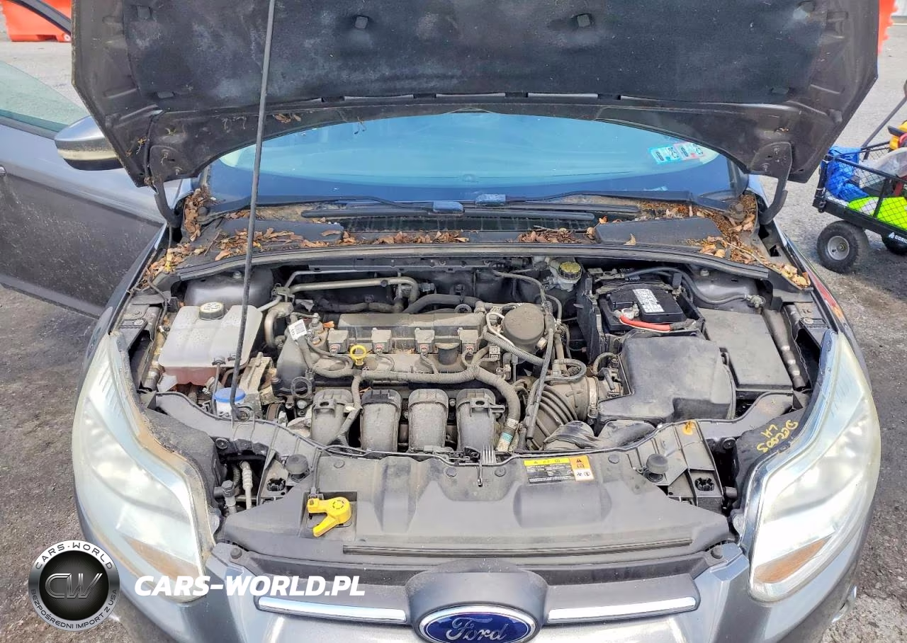 2013 Ford Focus Se VIN:1FADP3F20DL103825 - 11