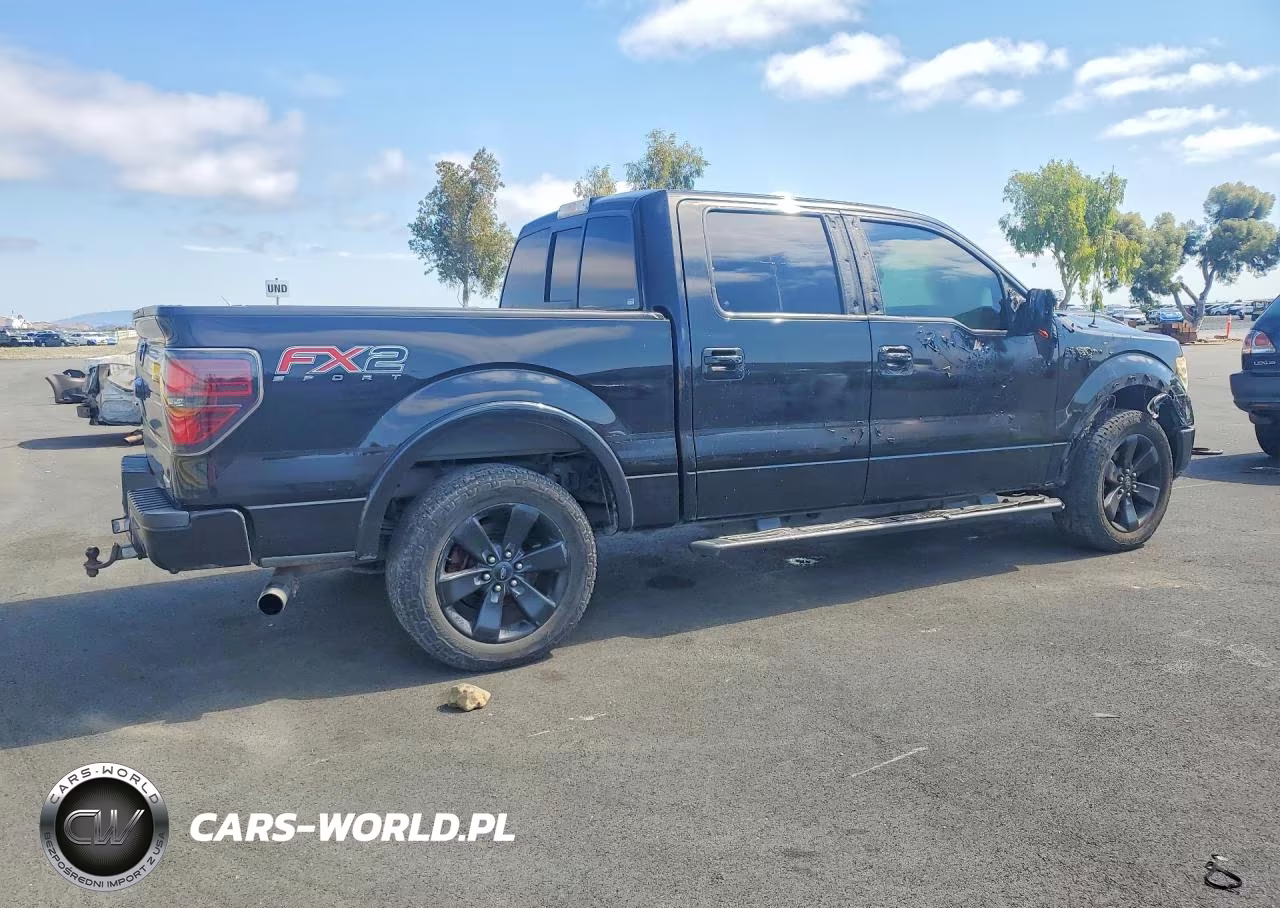 2014 Ford F150 Supercrew VIN:1FTFW1CT6EFB85762 - 3