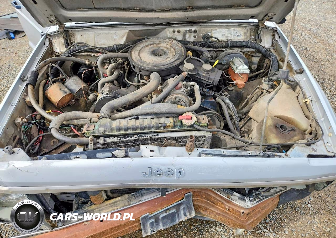 1986 Jeep Cherokee VIN:1JCWL7812GT099662 - 11