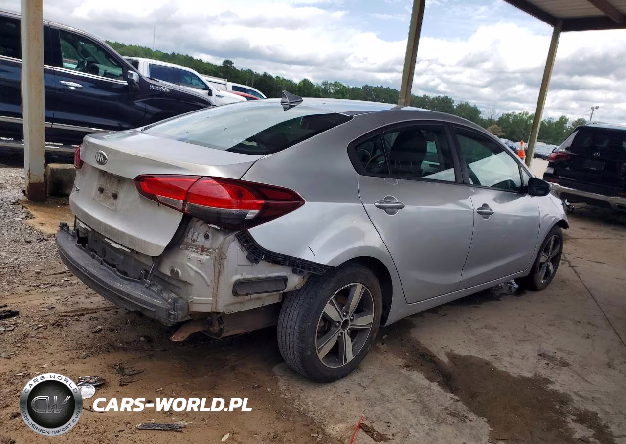 2018 Kia Forte Lx VIN:3KPFL4A79JE173979 - 3
