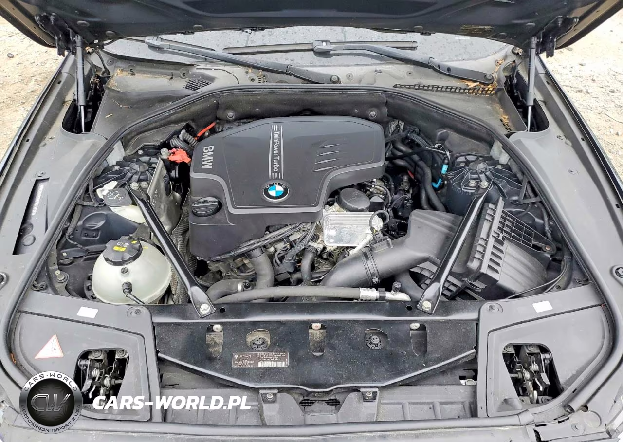2015 BMW 528 Xi VIN:WBA5A7C58FD621827 - 11