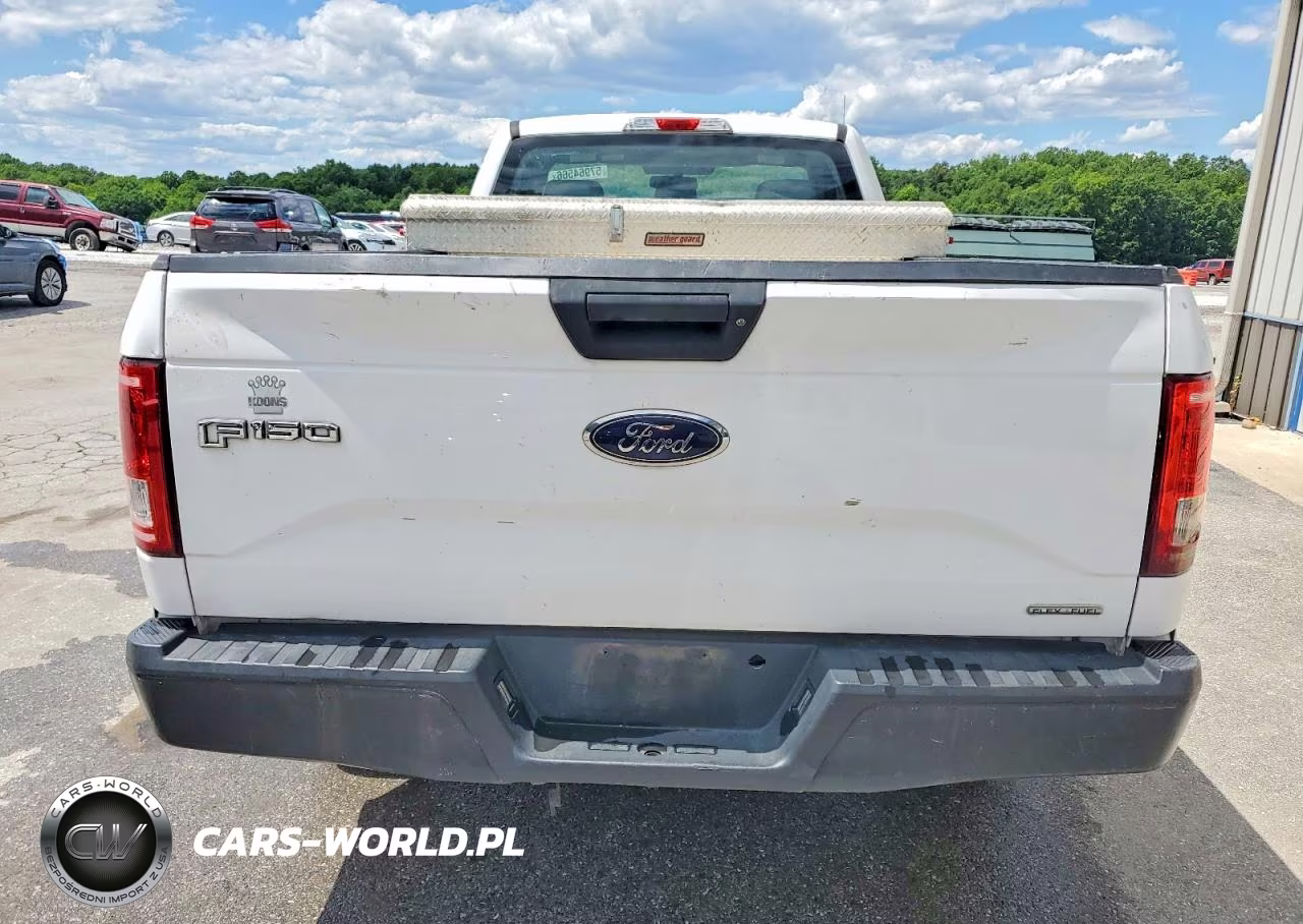 2016 Ford F150 VIN:1FTMF1C81GKD86126 - 10