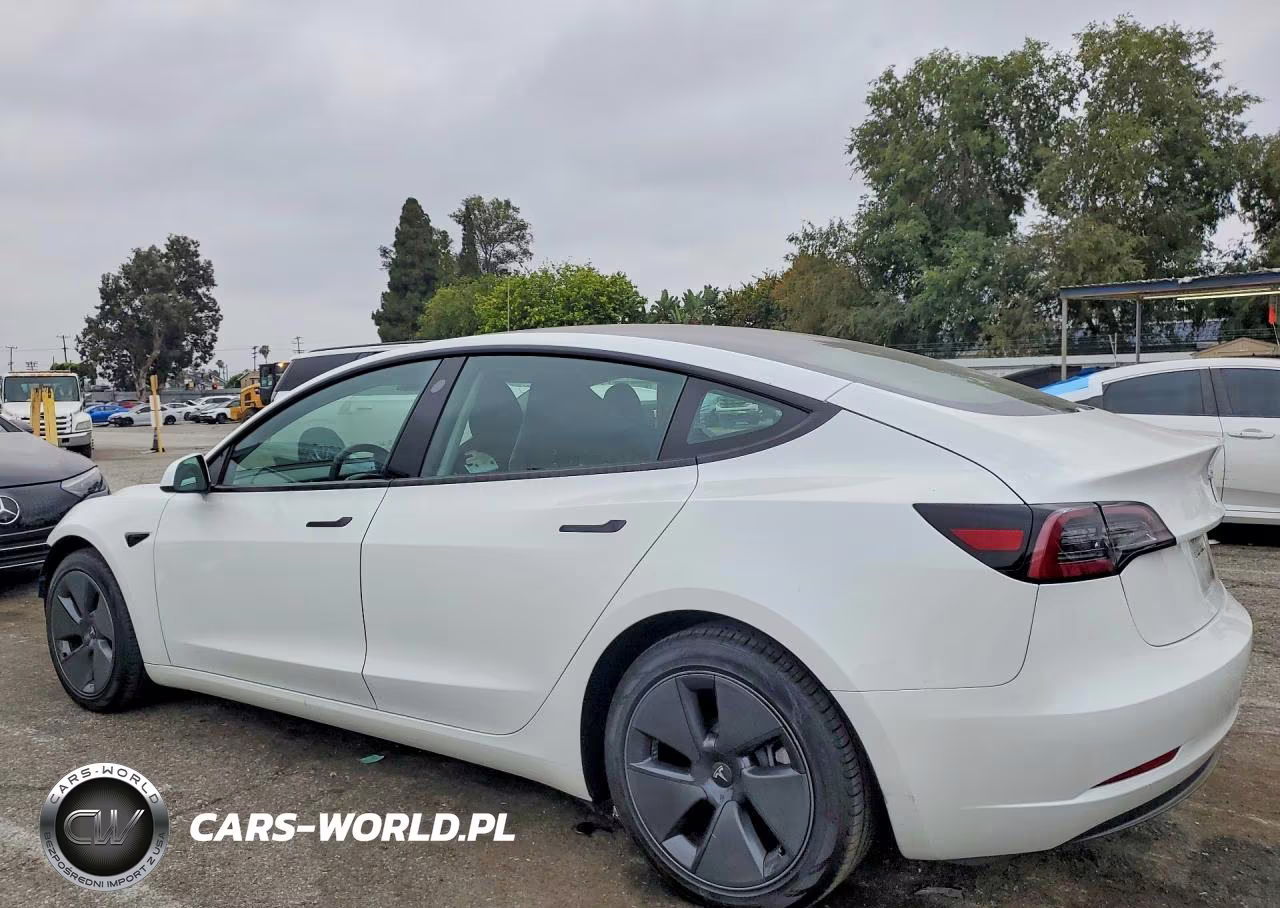2023 Tesla Model 3 VIN:5YJ3E1EA4PF544051 - 2