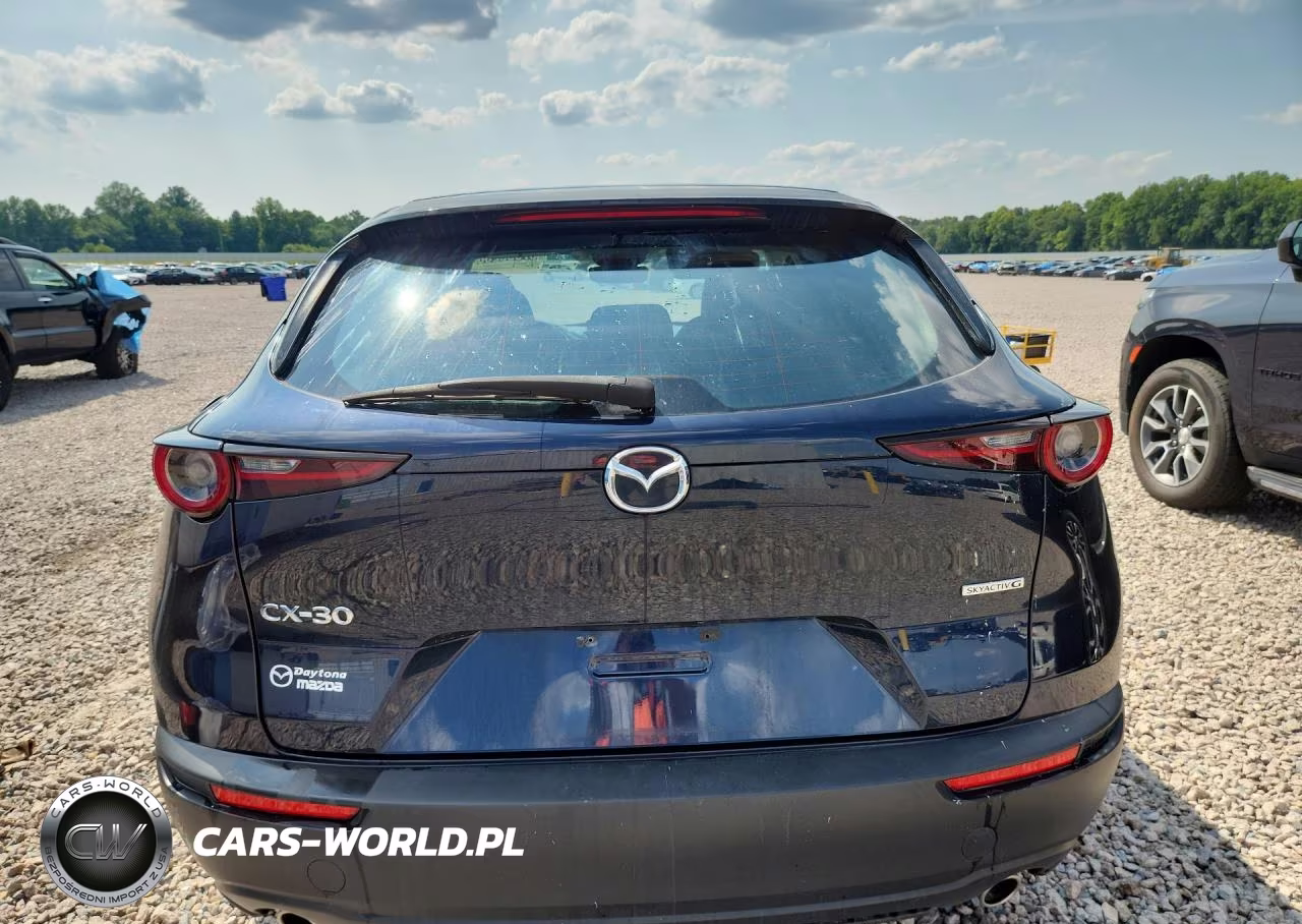 2020 Mazda Cx-30 VIN:3MVDMABL8LM127985 - 6