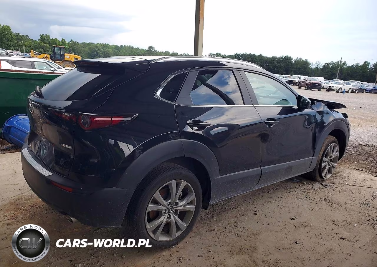 2025 Mazda Cx-30 Preferred VIN:3MVDMBCMXSM830712 - 3