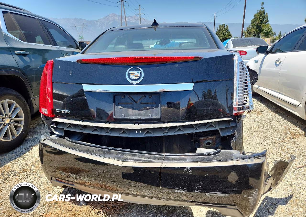 2010 Cadillac Cts Luxury Collection VIN:1G6DE5EG3A0125147 - 6