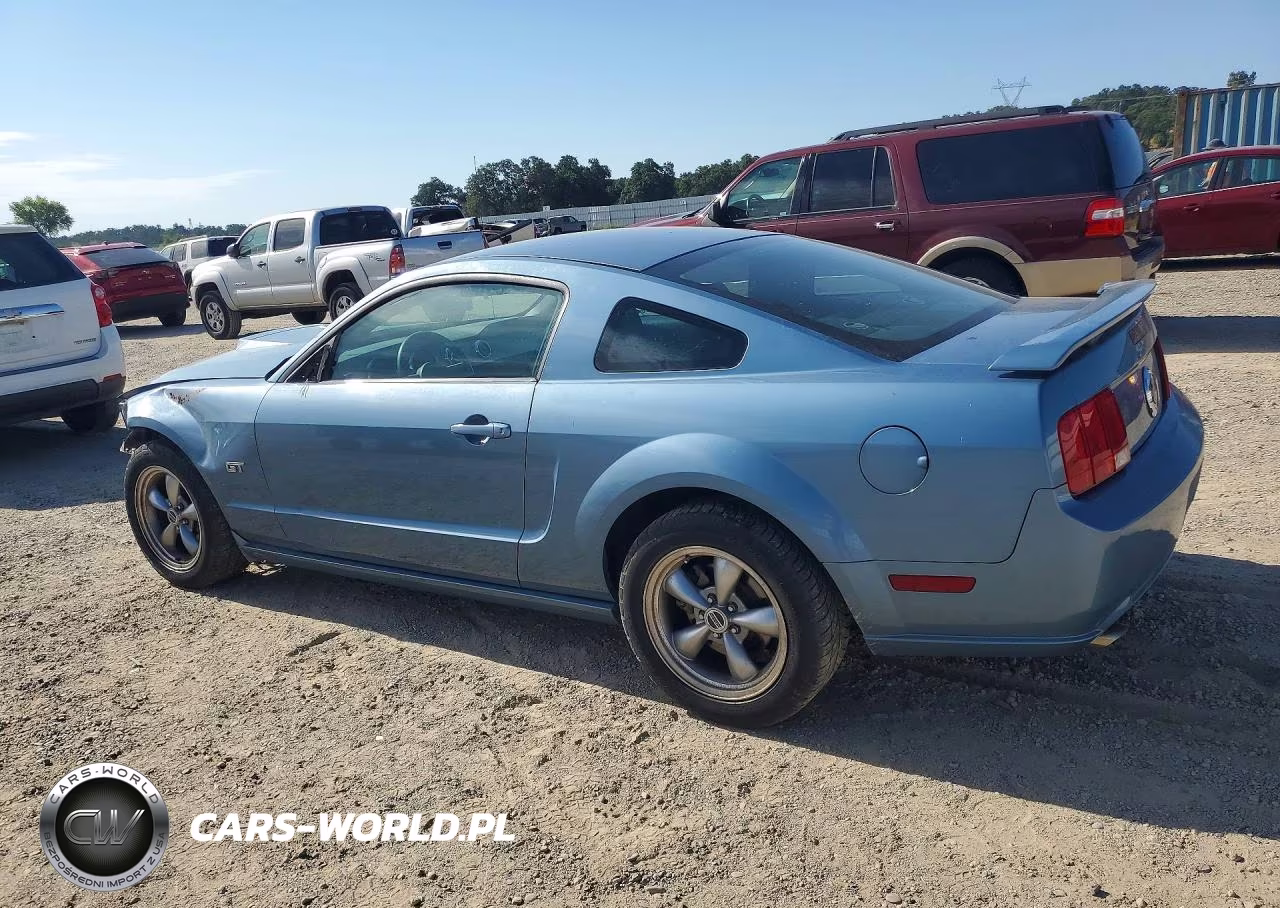 2005 Ford Mustang Gt VIN:1ZVFT82H955245700 - 2