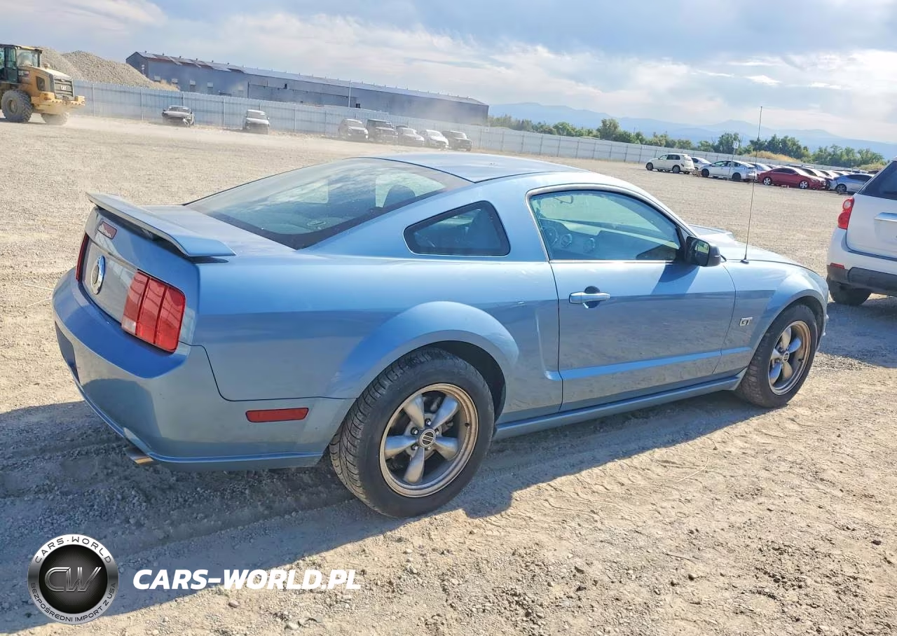 2005 Ford Mustang Gt VIN:1ZVFT82H955245700 - 3