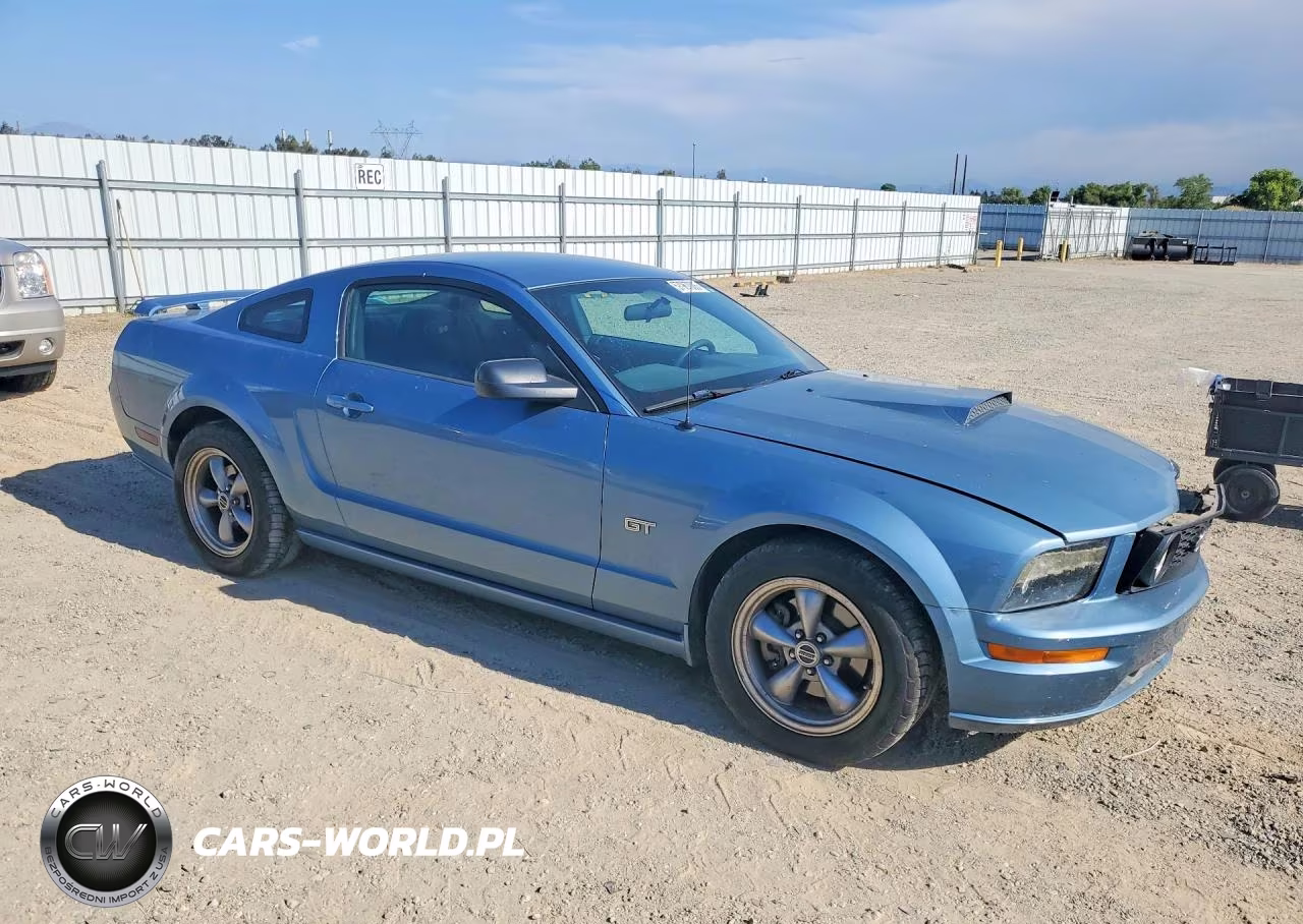 2005 Ford Mustang Gt VIN:1ZVFT82H955245700 - 4