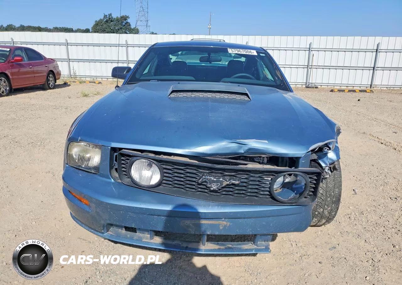 2005 Ford Mustang Gt VIN:1ZVFT82H955245700 - 5