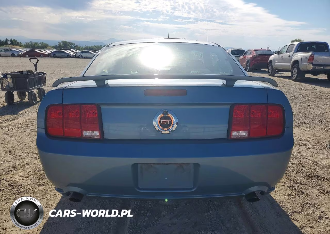 2005 Ford Mustang Gt VIN:1ZVFT82H955245700 - 6