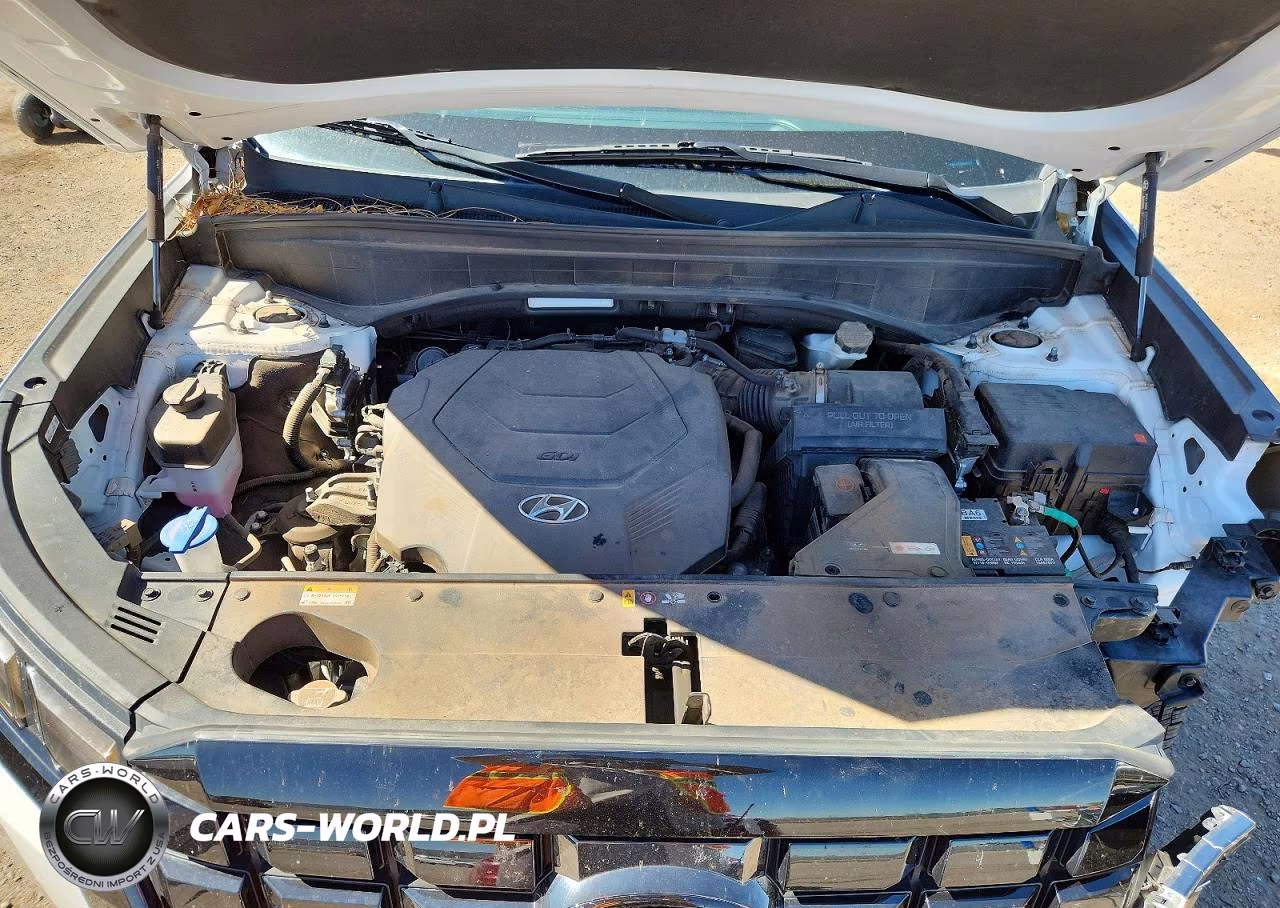2024 Hyundai Palisade Xrt VIN:KM8R34GE6RU689373 - 12