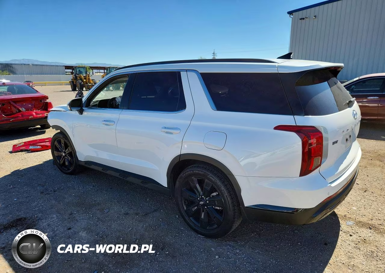 2024 Hyundai Palisade Xrt VIN:KM8R34GE6RU689373 - 2